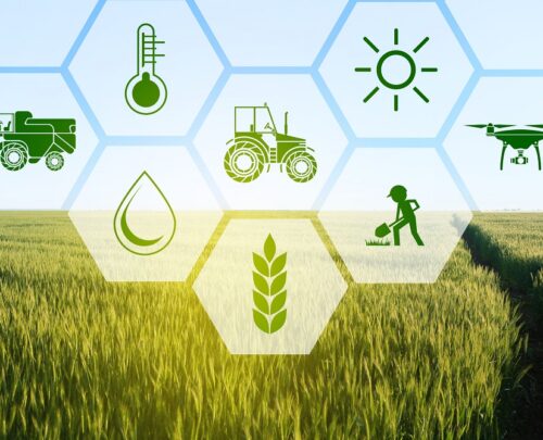 Icons and field on background. Concept of smart agriculture and modern technology