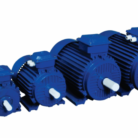 Three Phase Induction Motors