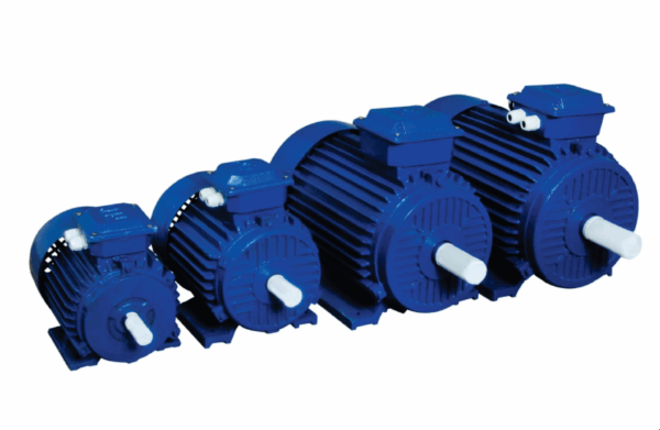 Three Phase Induction Motors