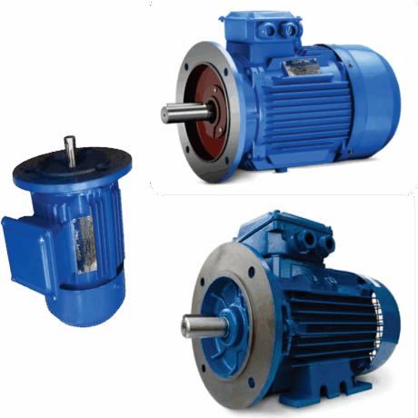 Flange Type Motors