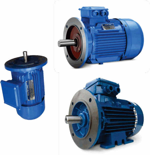 Flange Type Motors